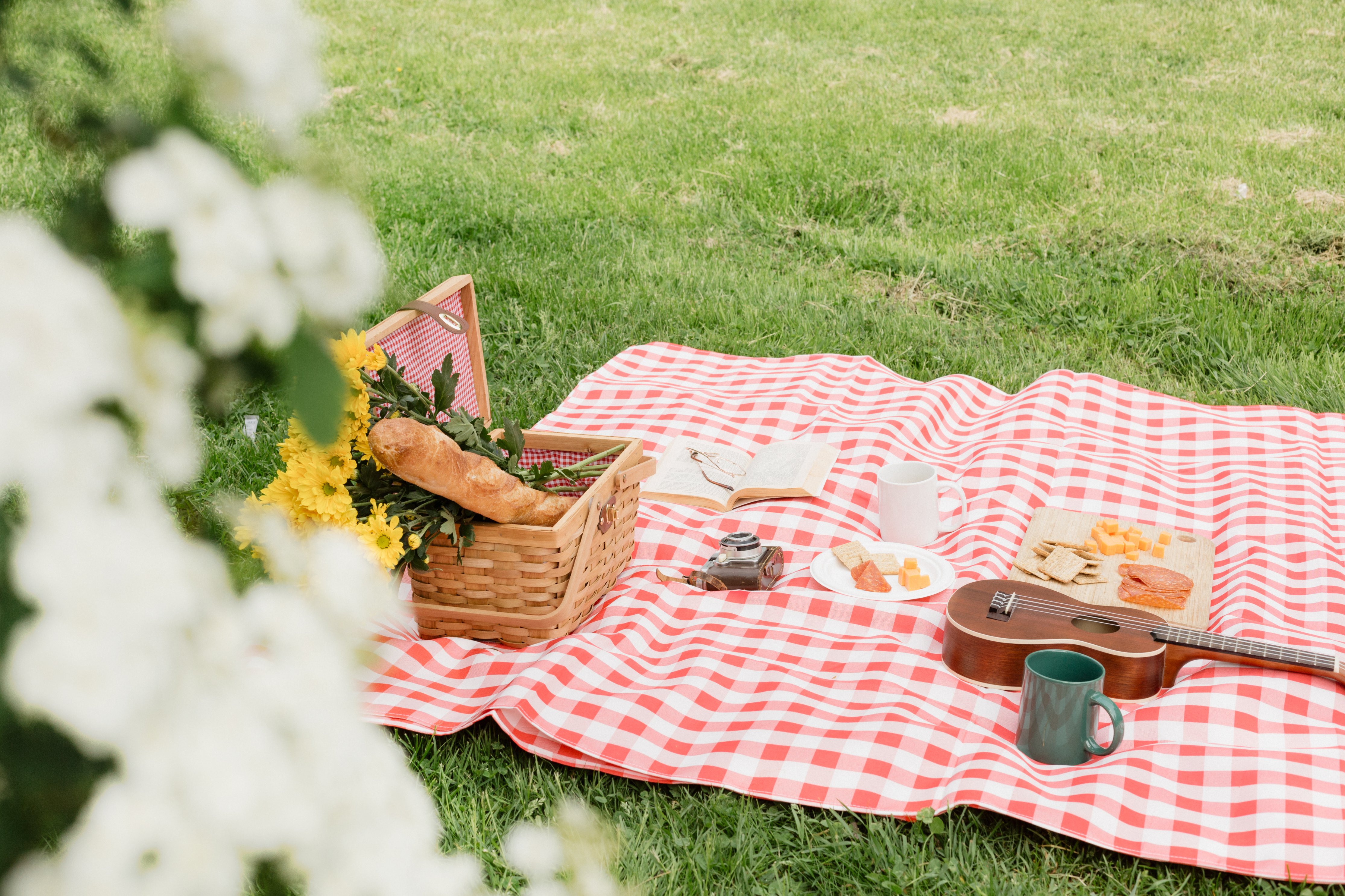 Picnic in the Park